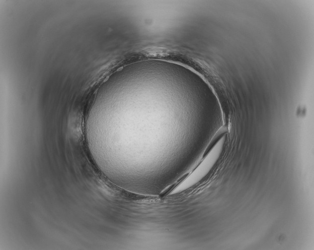 X0000090761444200708101736