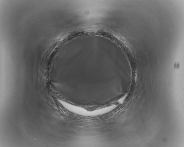 X0000090761445200708101736