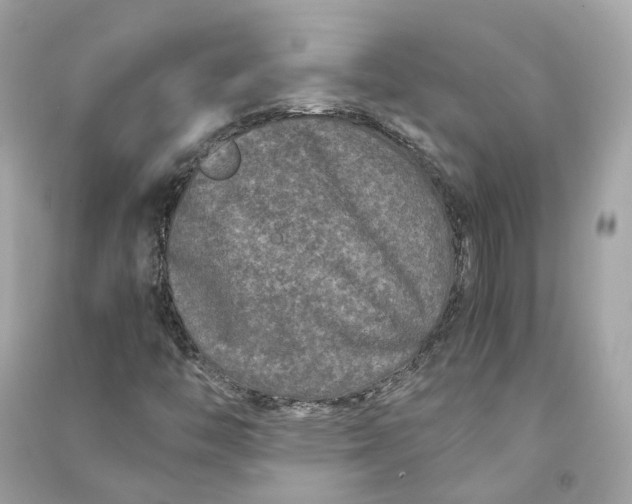 X0000090761446200708101736