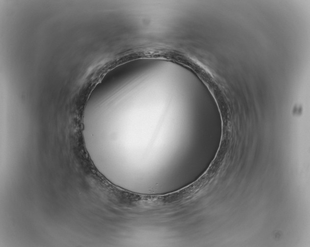 X0000090761447200708101736