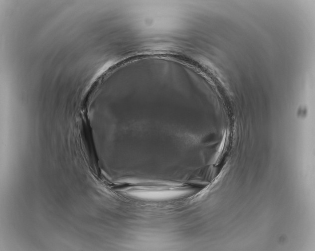 X0000090761449200708101736