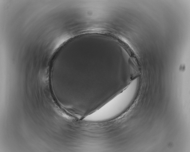 X0000090761450200708101736