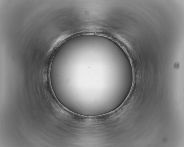 X0000090761451200708101736