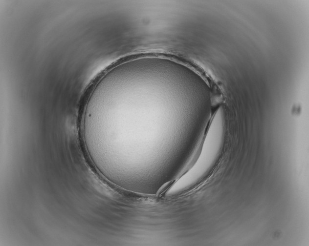 X0000090761452200708101736