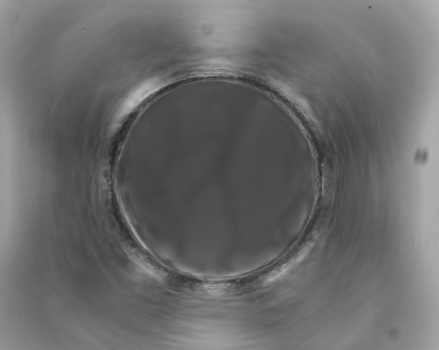 X0000090761453200708101736