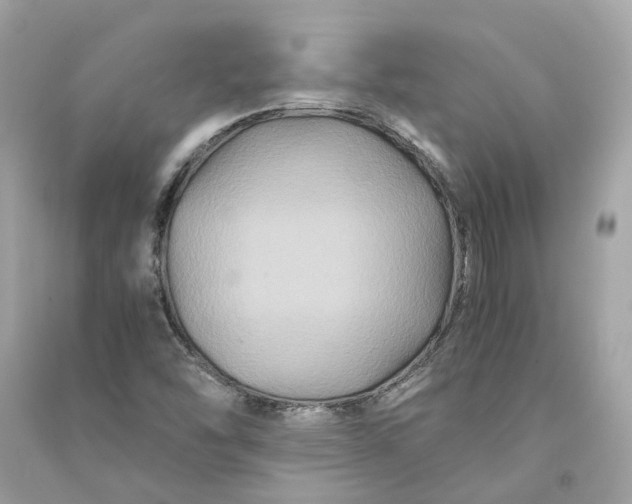 X0000090761454200708101736