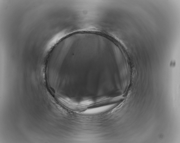 X0000090761455200708101736