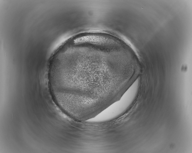 X0000090761456200708101736