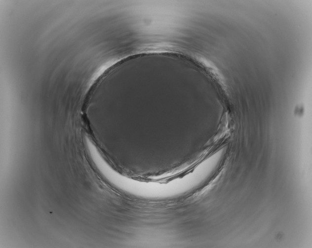 X0000090761457200708101736