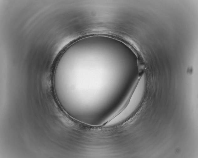 X0000090761458200708101736