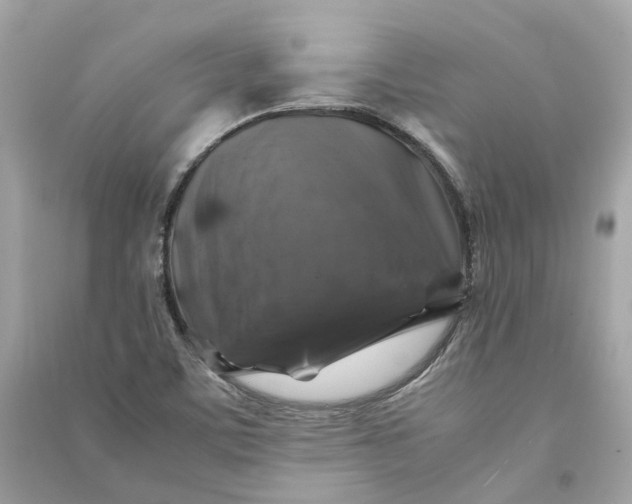 X0000090761459200708101736