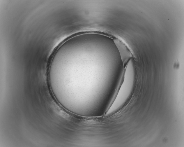 X0000090761460200708101736