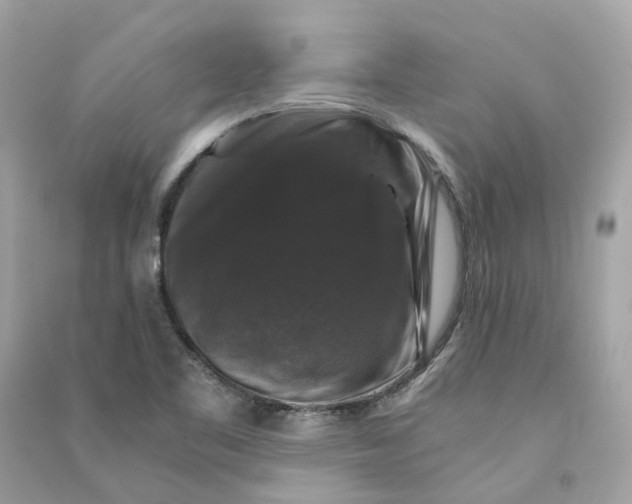 X0000090761461200708101736