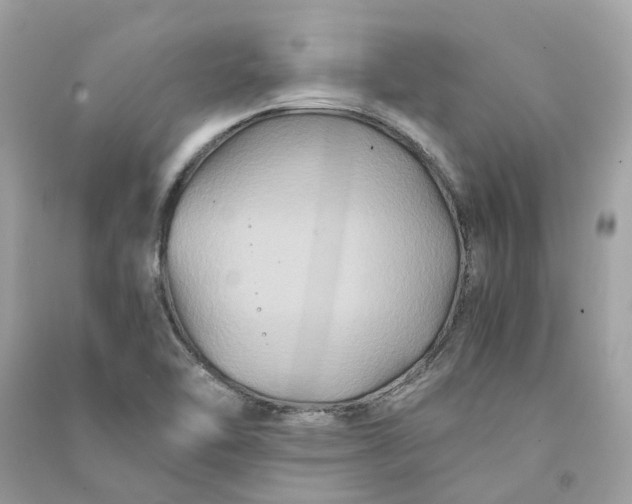 X0000090761462200708101736