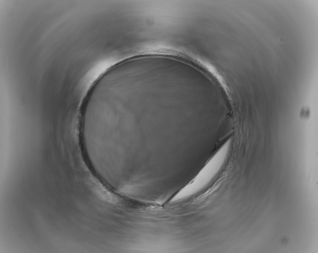 X0000090761463200708101736