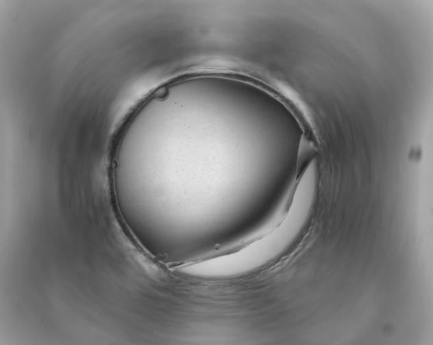 X0000090761464200708101736