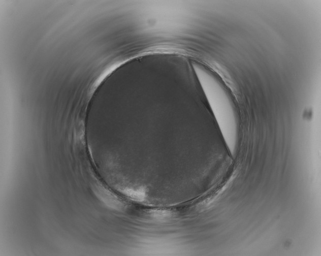 X0000090761465200708101736