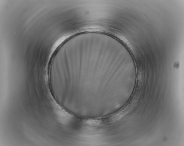 X0000090761466200708101736