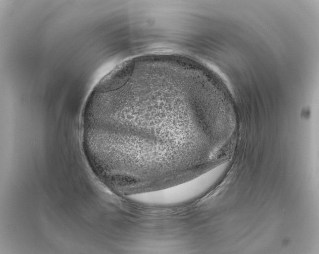 X0000090761467200708101736