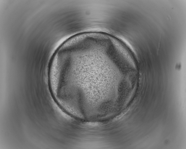 X0000090761468200708101736