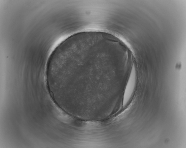 X0000090761469200708101736