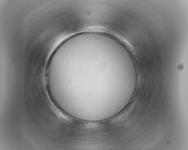 X0000090761470200708101736