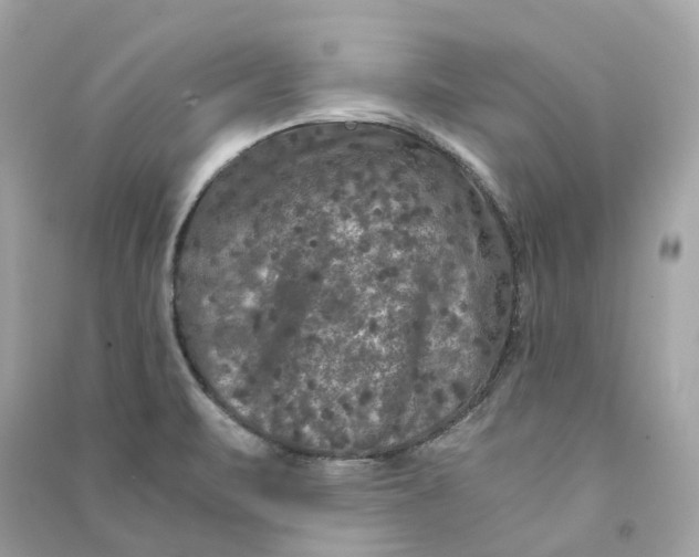 X0000090761471200708101736