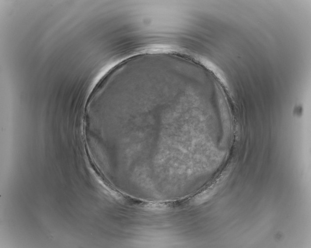 X0000090761473200708101736