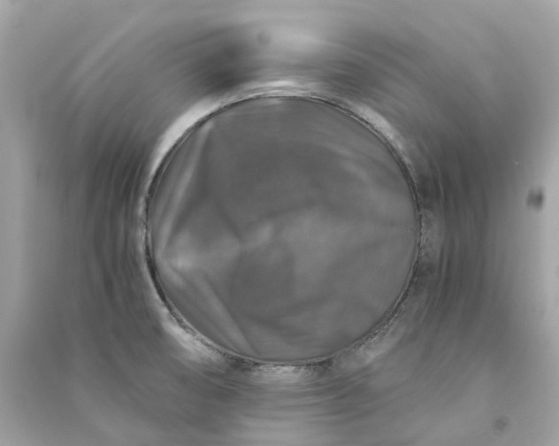 X0000090761474200708101736