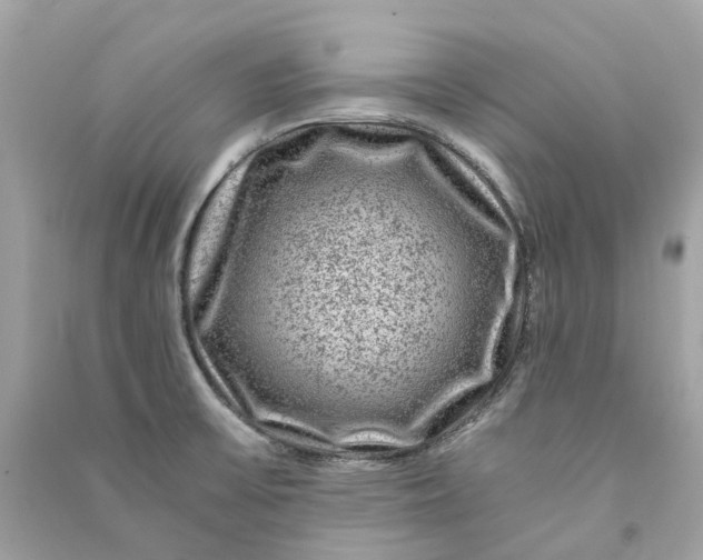 X0000090761475200708101736