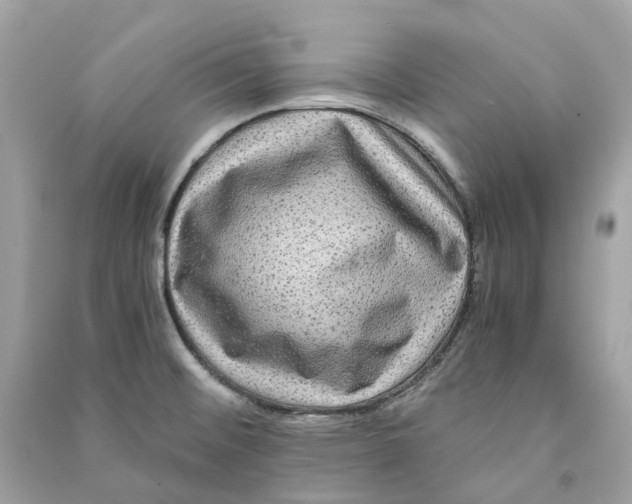 X0000090761476200708101736