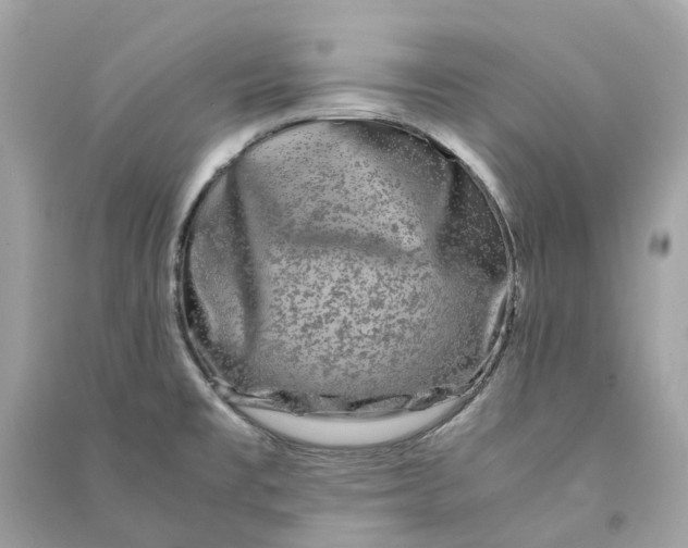 X0000090761477200708101736