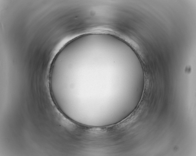 X0000090761478200708101736