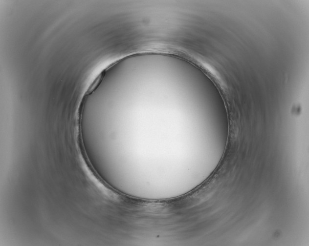 X0000090761479200708101736