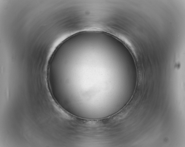 X0000090761480200708101736