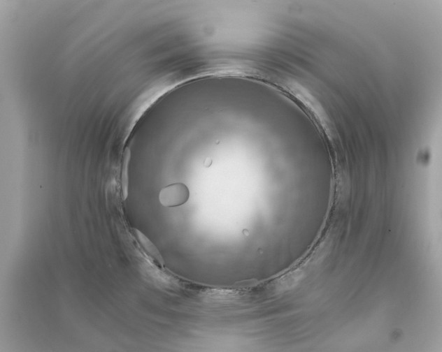 X0000090761481200708101736