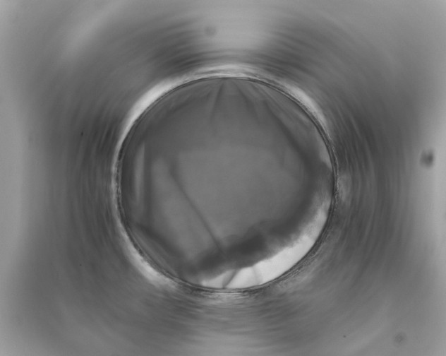 X0000090761482200708101736