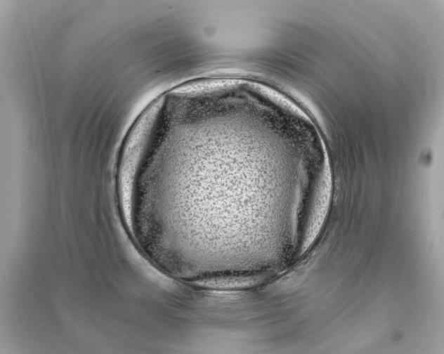 X0000090761483200708101736