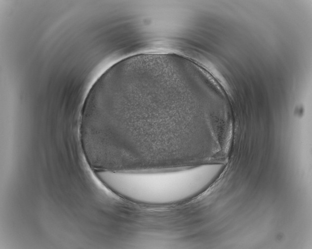 X0000090761484200708101736