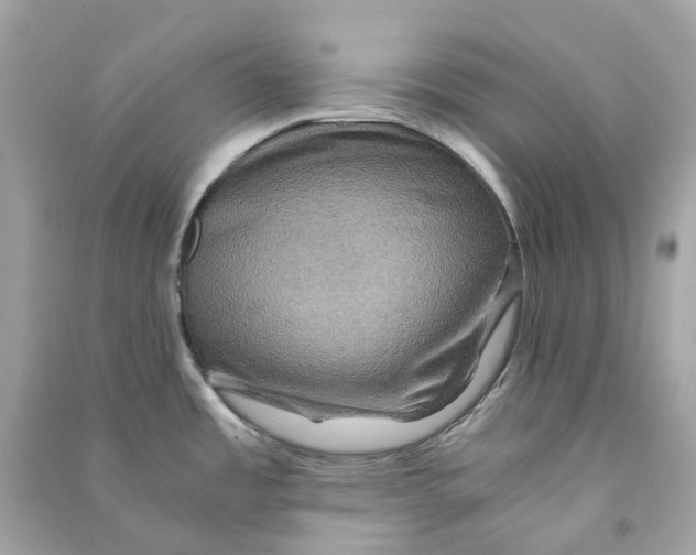 X0000090761485200708101736