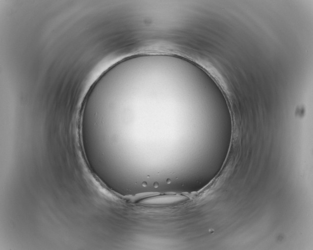 X0000090761486200708101736