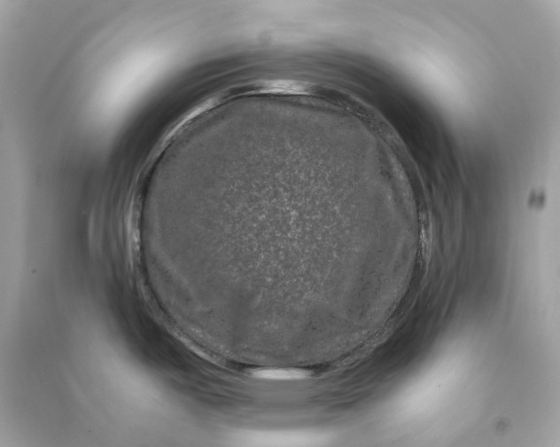 X0000090761487200708101736