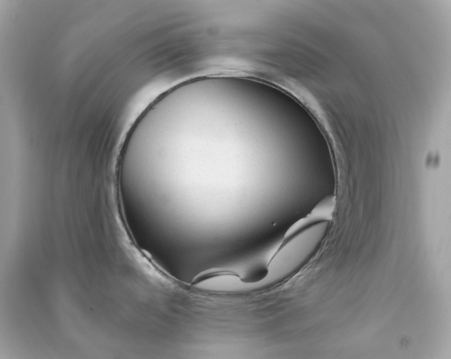 X0000090761488200708101736