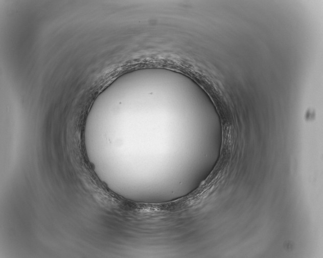 X0000090761489200708101735