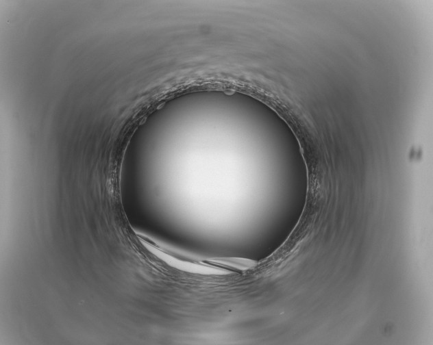 X0000090761490200708101735