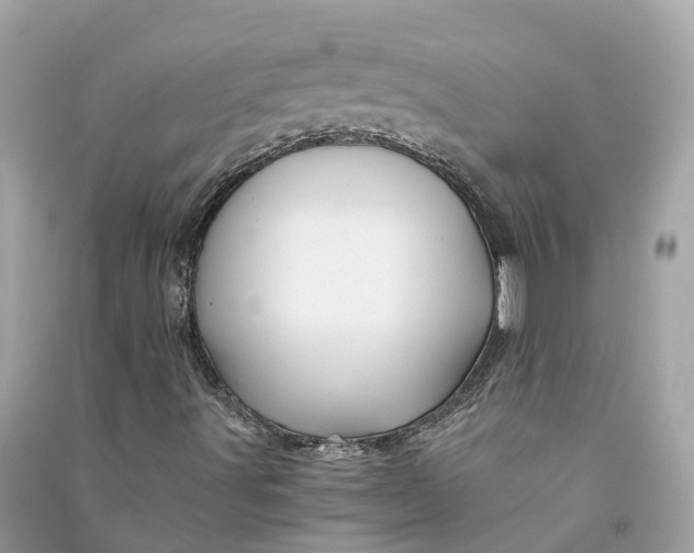 X0000090761491200708101735