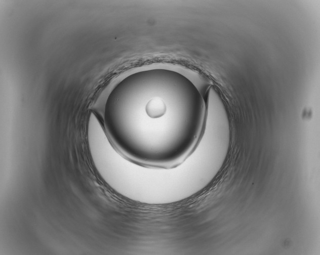 X0000090761492200708101735