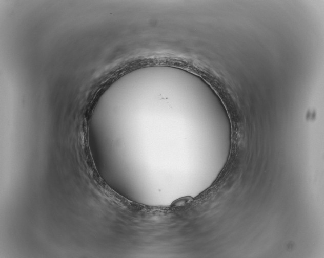 X0000090761493200708101735