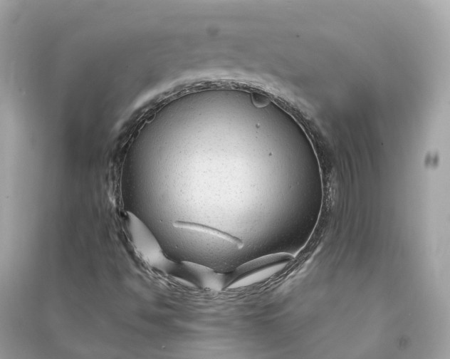 X0000090761494200708101735