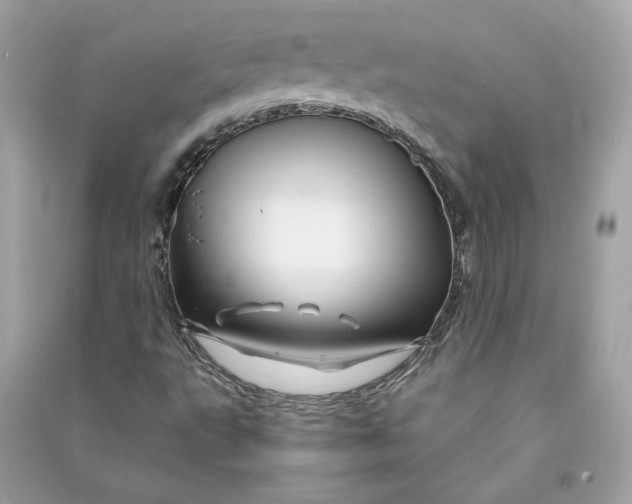 X0000090761495200708101735